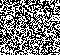 Random-Dot Kinomatogramm