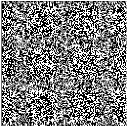 Random-Dot Kinematogrmm